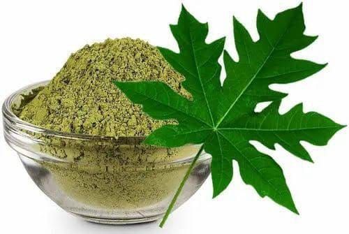 Papaya leaf powder benefits top